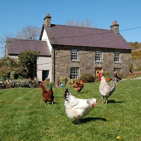 Nantgwynfaen Organic Farm Wales Villa Llandysul Luaran gambar