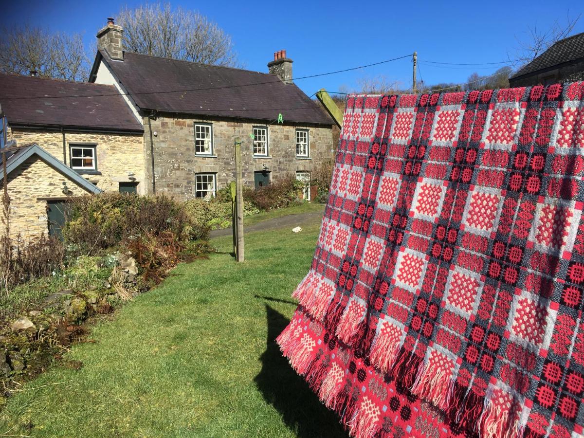 Nantgwynfaen Organic Farm Wales Villa Llandysul Luaran gambar