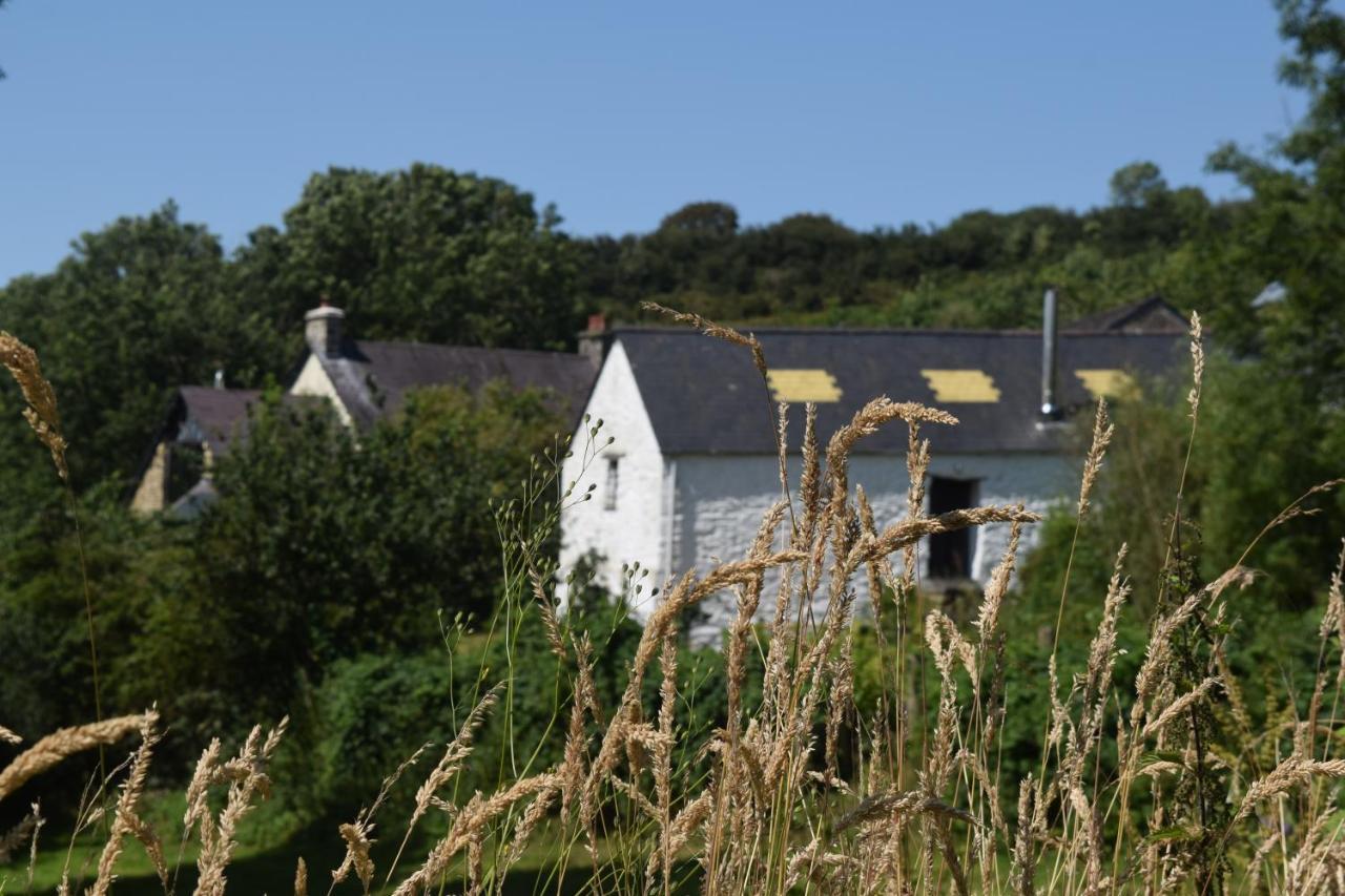 Nantgwynfaen Organic Farm Wales Villa Llandysul Luaran gambar