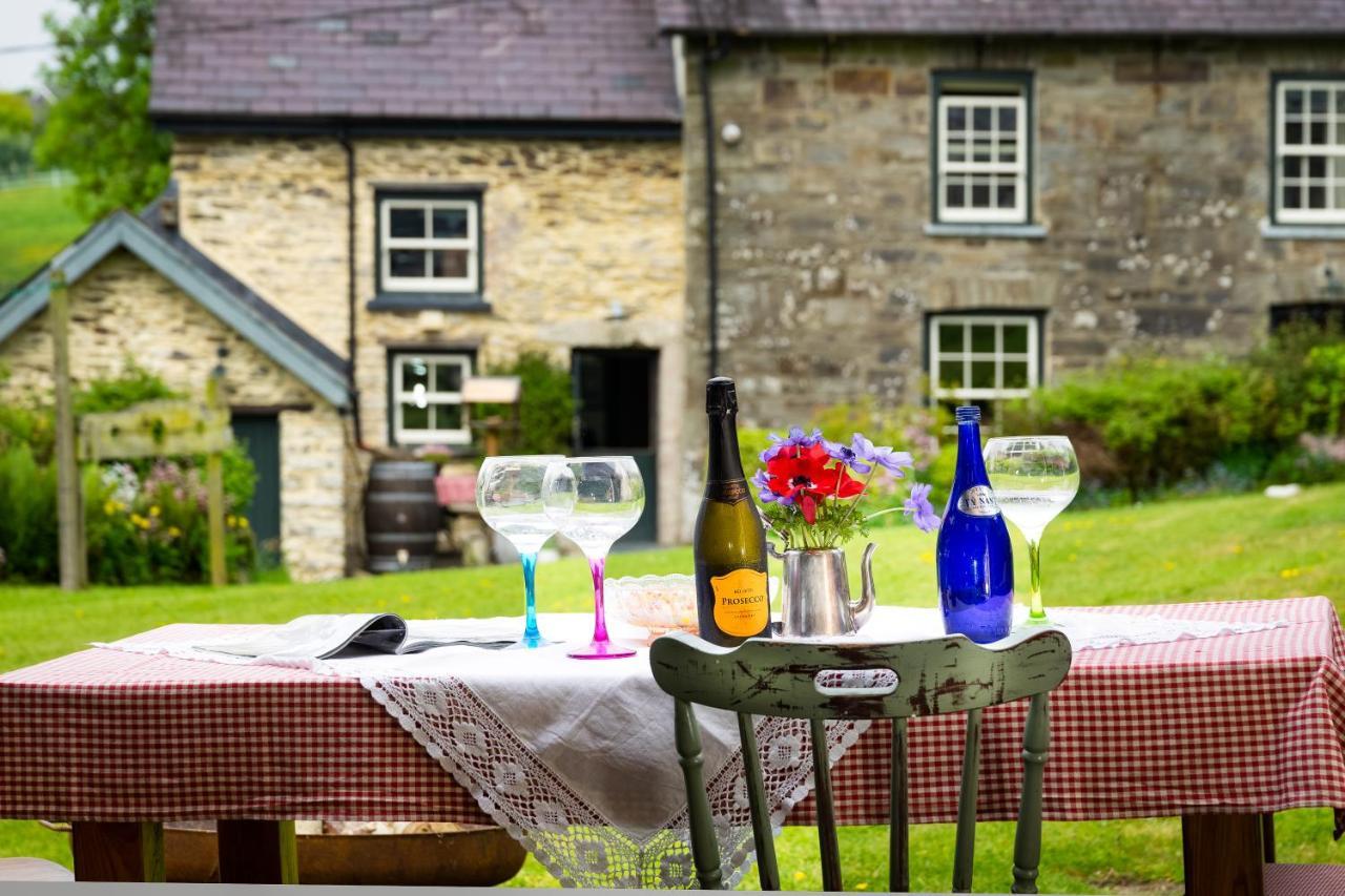 Nantgwynfaen Organic Farm Wales Villa Llandysul Luaran gambar