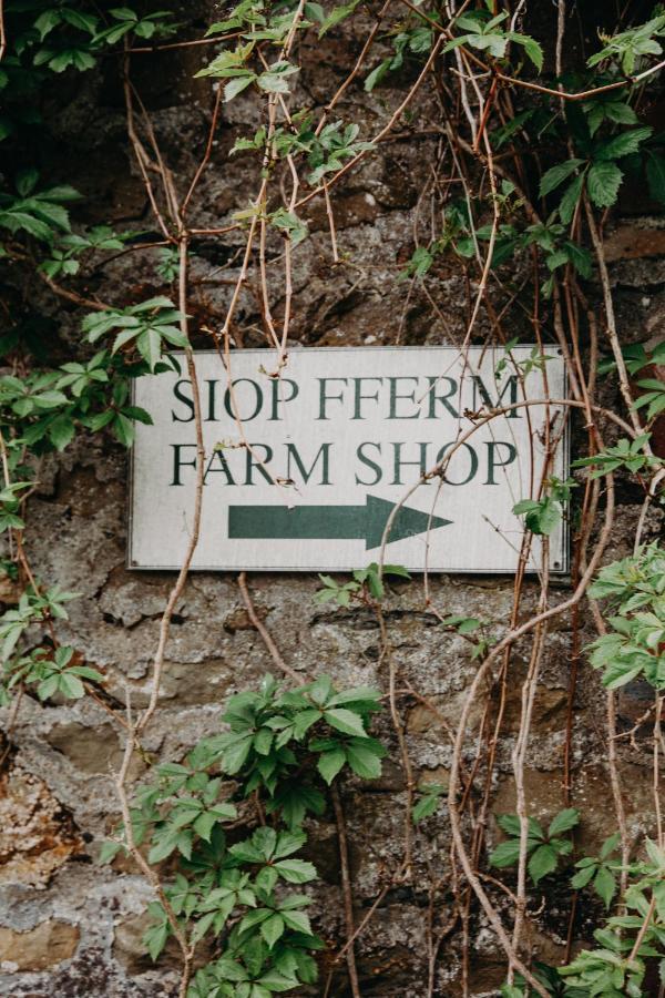 Nantgwynfaen Organic Farm Wales Villa Llandysul Luaran gambar