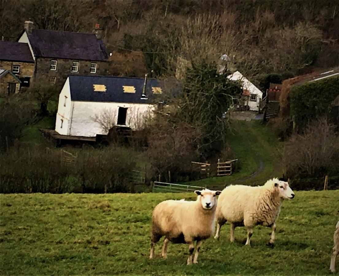 Nantgwynfaen Organic Farm Wales Villa Llandysul Luaran gambar