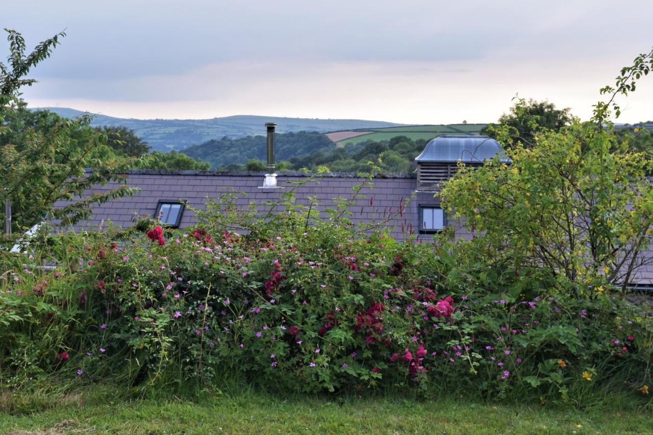 Nantgwynfaen Organic Farm Wales Villa Llandysul Luaran gambar