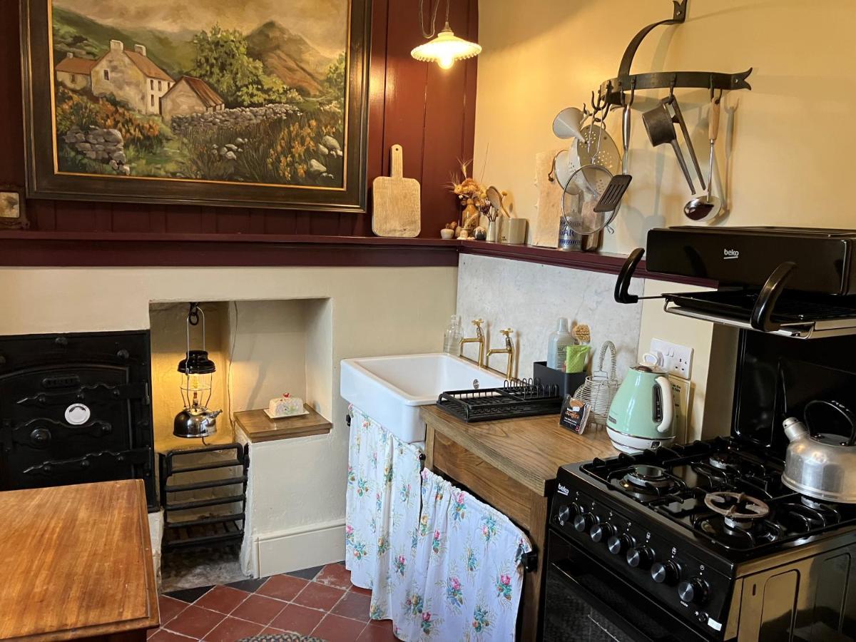 Nantgwynfaen Organic Farm Wales Villa Llandysul Luaran gambar