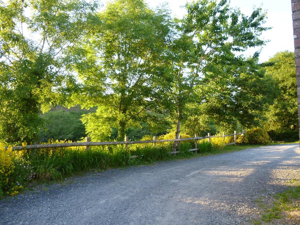 Nantgwynfaen Organic Farm Wales Villa Llandysul Luaran gambar