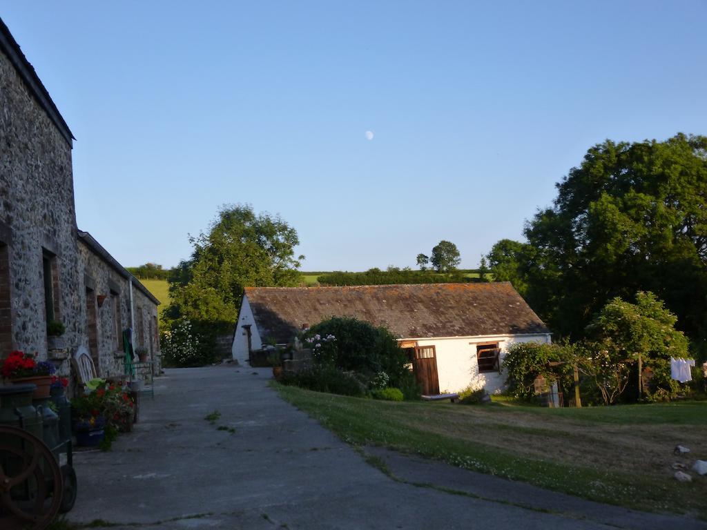 Nantgwynfaen Organic Farm Wales Villa Llandysul Luaran gambar