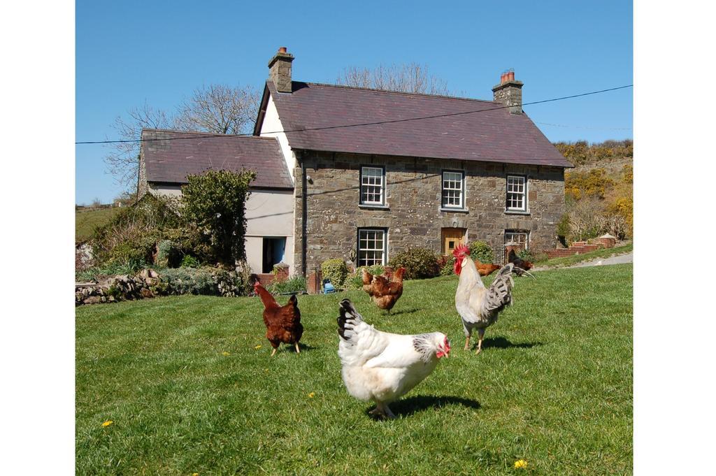Nantgwynfaen Organic Farm Wales Villa Llandysul Luaran gambar