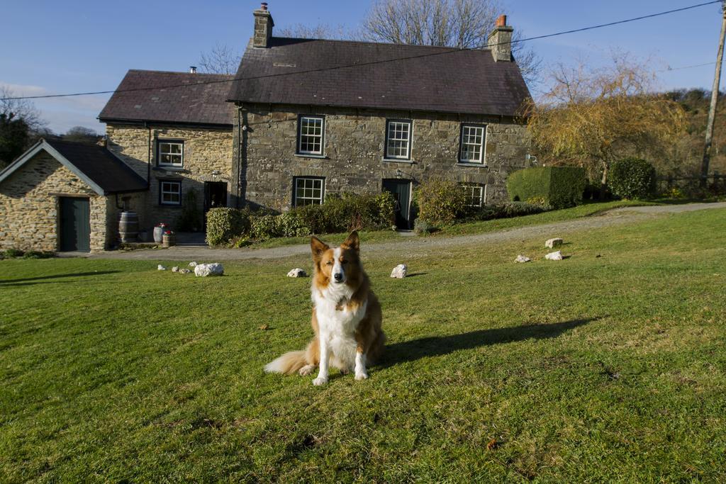 Nantgwynfaen Organic Farm Wales Villa Llandysul Luaran gambar